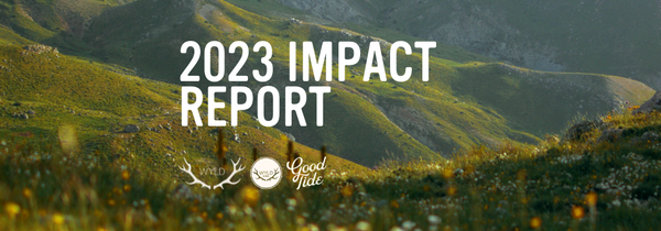 2023 Impact Report