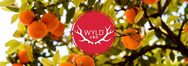 The Wyld CBD Story