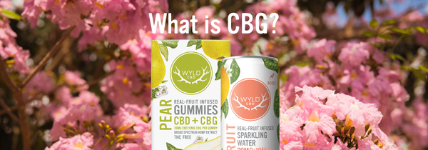 What is CBG?
