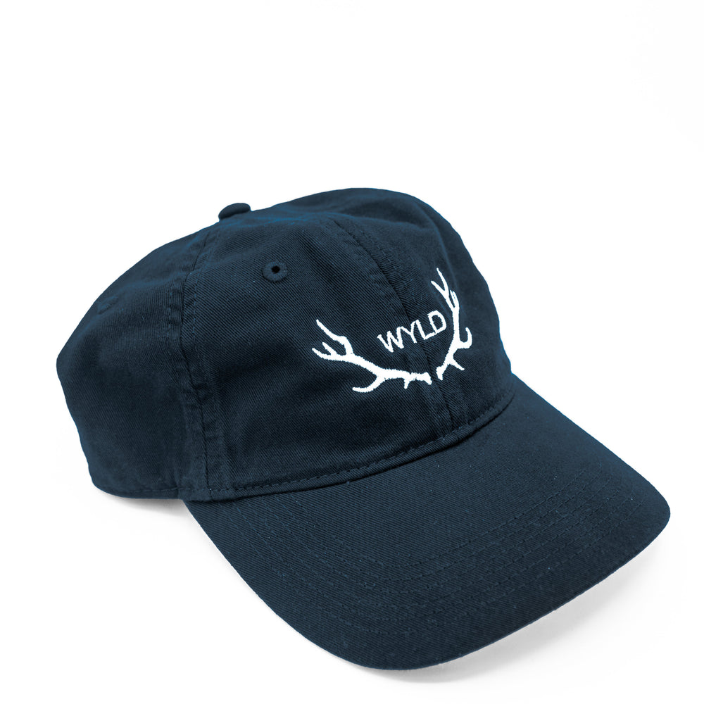 Navy Dad Hat with no shadow